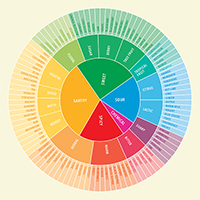 Cannabis Flavor Wheel